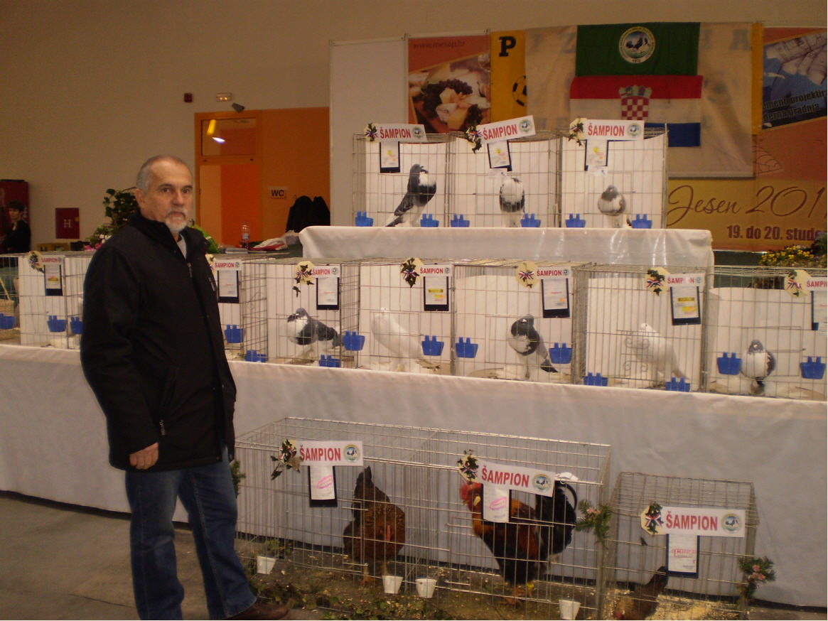 Izlozba malih zivotinja 15.01.2012.g. Nedelisce.