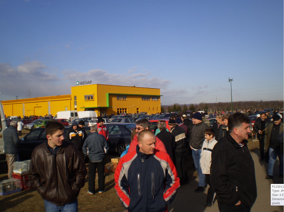 Izlozba malih zivotinja 15.01.2012.g. Nedelisce.