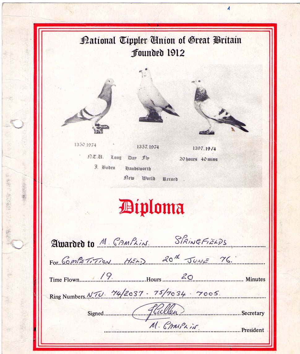 Camplin - fly 19,20 hrs