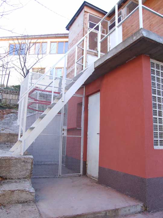 Flying Tippler - Nisic Nuris Sarajevo - Loft - Trijem, golubinjak