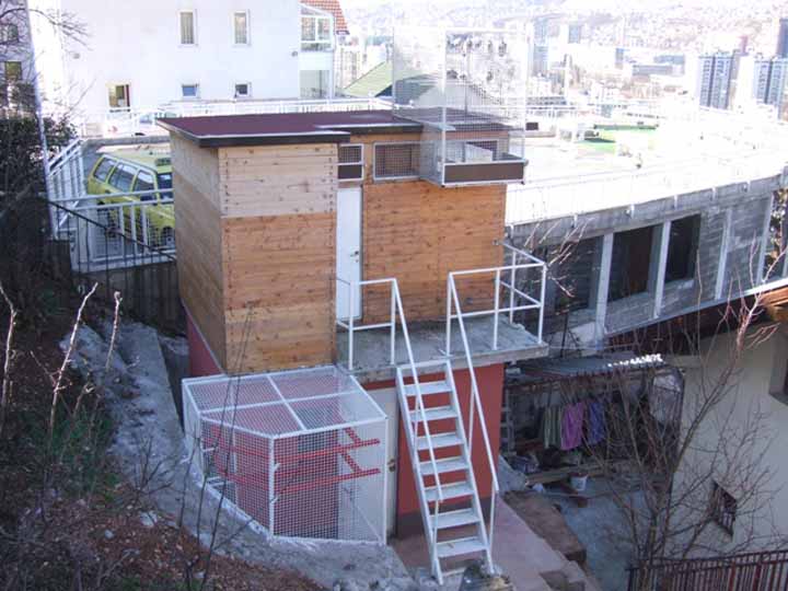 Flying Tippler - Nisic Nuris Sarajevo - Loft - Trijem, golubinjak