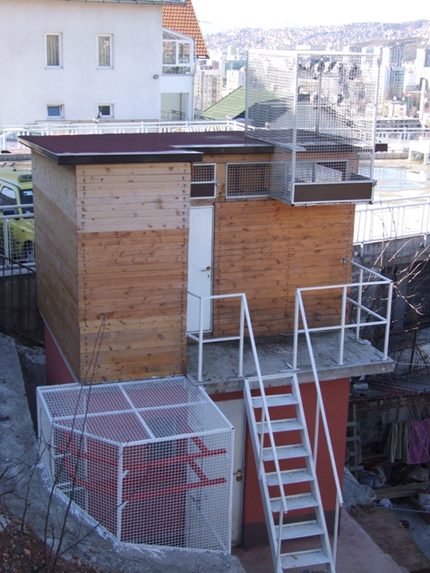 Flying Tippler - Nisic Nuris Sarajevo - Trijem, golubinjak