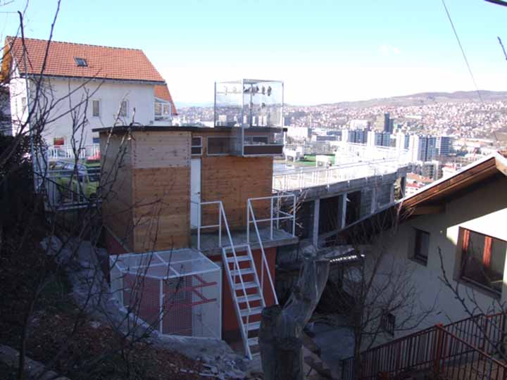 Flying Tippler - Nisic Nuris Sarajevo - Trijem, golubinjak