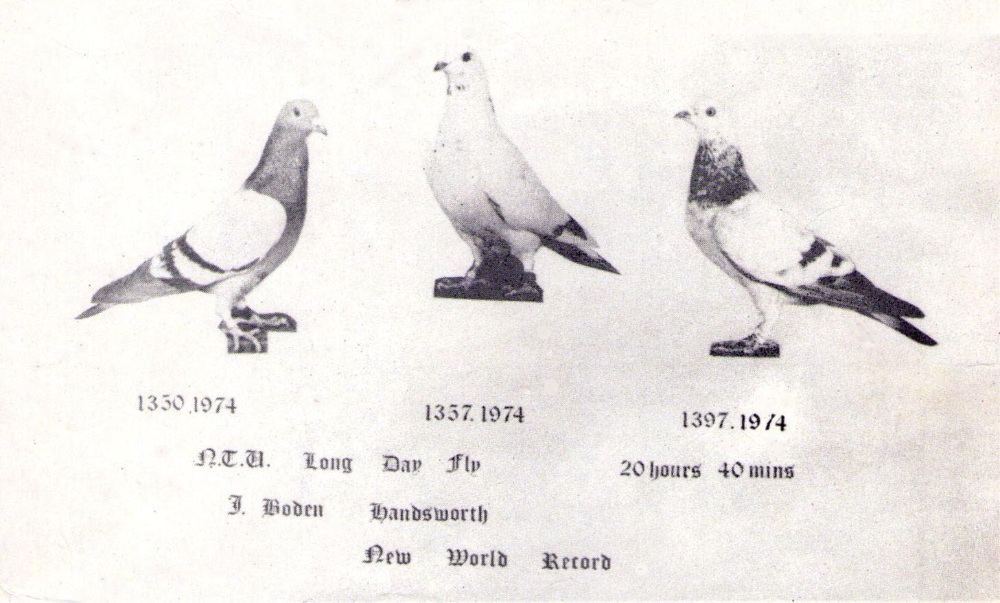 Jack Boden - Handsworth - World record - fly 20,40 hrs.