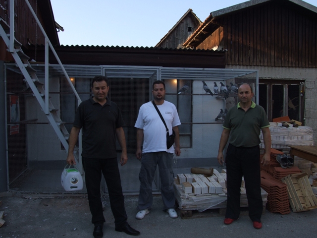 Flying Tippler - Nisic Nuris