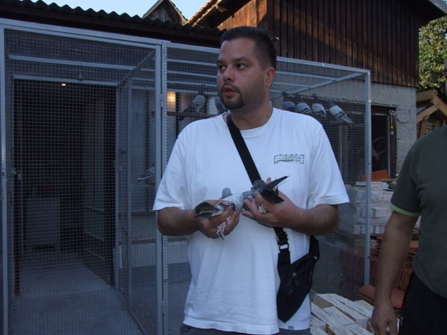 Flying Tippler - Nisic Nuris