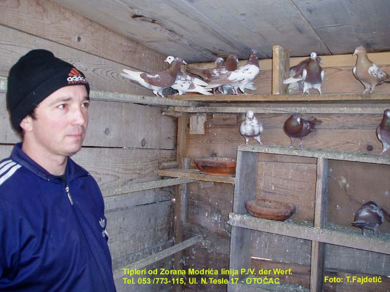 Tipleri od Zorana Modrića.