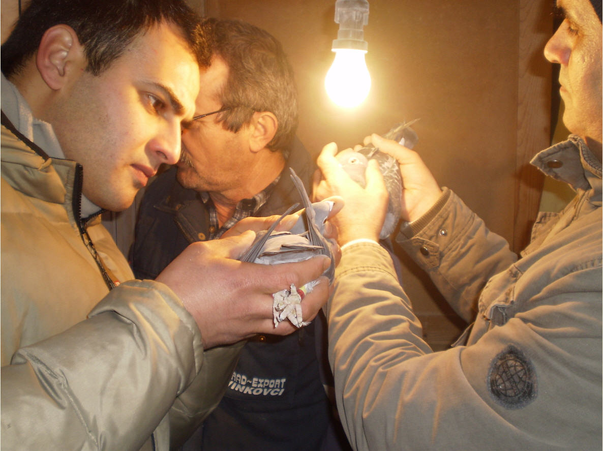 Slavko Culjak - Vinkovci, 2010.g.