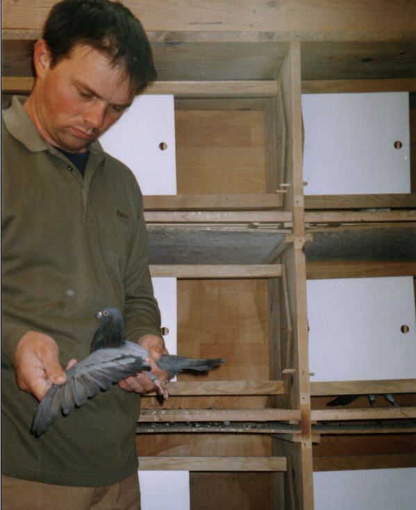 Tippler's Vedran Anicic - HTS - Pula/Fazana