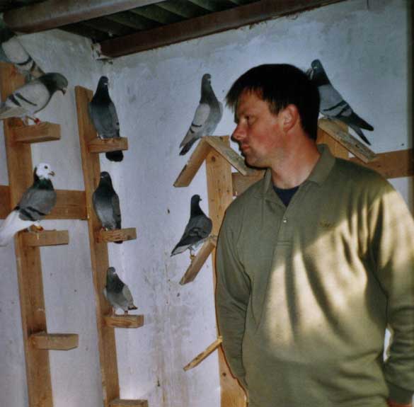 Tippler's Vedran Anicic - HTS - Pula/Fazana